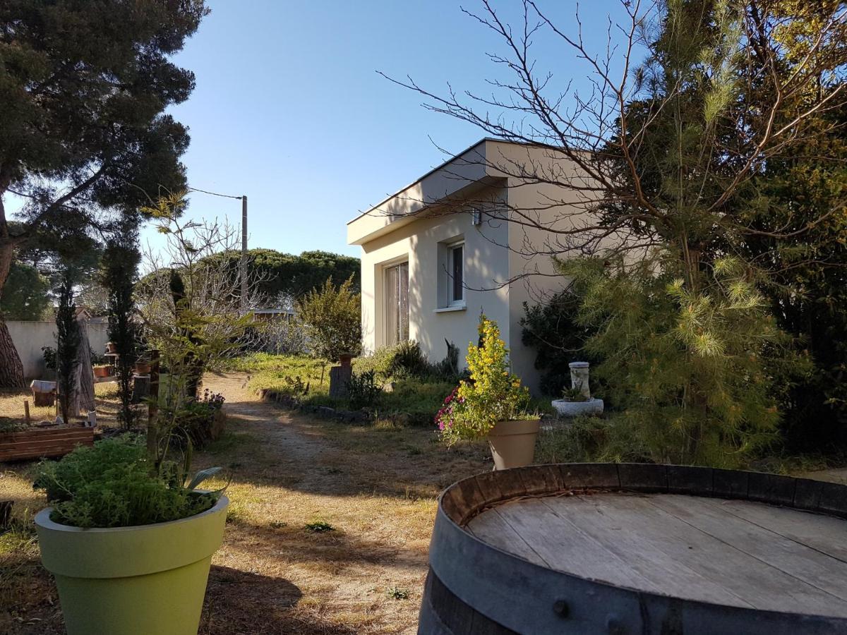 Villa Sunagde, Climatisee, Proche Plage Et Commerces Le Grau-dʼAgde エクステリア 写真